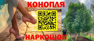 a pvp Ярославль