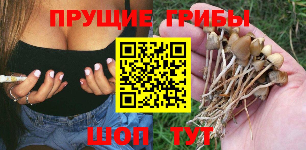 Егорьевск  цены наркотик  Галлюциногенные грибы GOLDEN TEACHER  Вход с VPN  Псилоцибиновые грибы Cubensis 